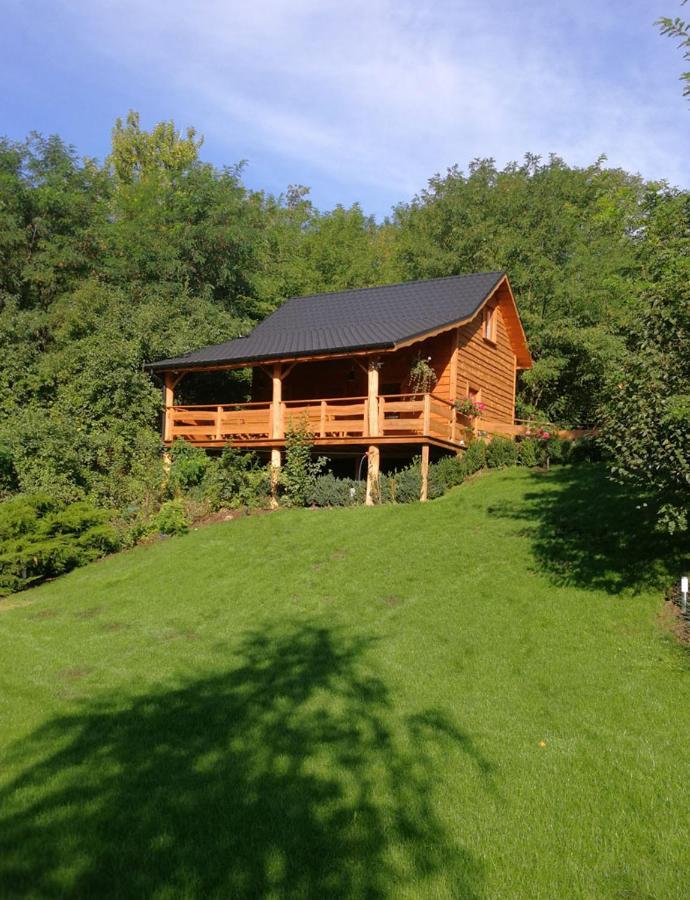 Villa Eden Ślesin Exterior foto